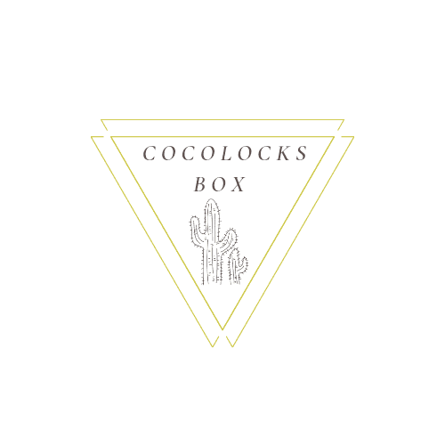 Logo with text "Cocolocks Box" featuring a cactus within a minimalist, double-outlined triangle.
